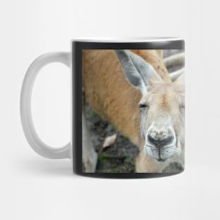 Are You Talking To Me? Mug